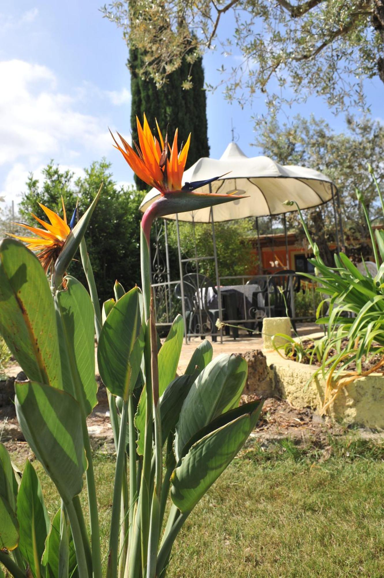 Butterfly House Bed & Breakfast Alghero Buitenkant foto